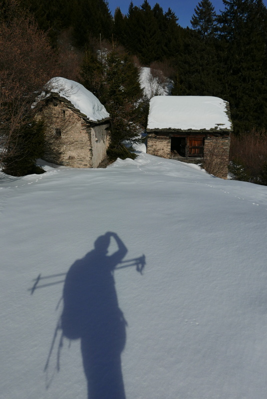 p1160194.jpg