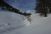 p1160146.jpg