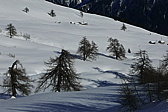p1160164.jpg