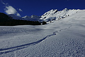 p1160170.jpg