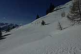 p1160180.jpg