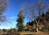 La Chaux-de-Fonds