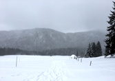 Feldberg