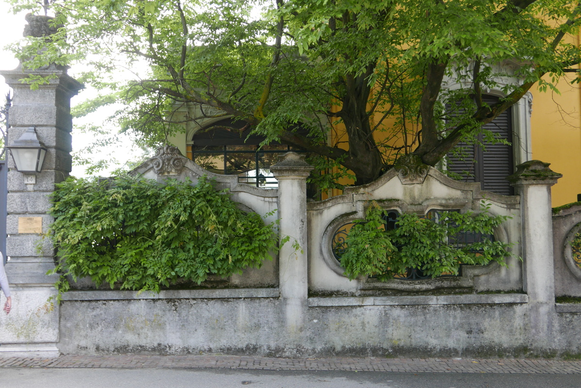 p1160739.jpg