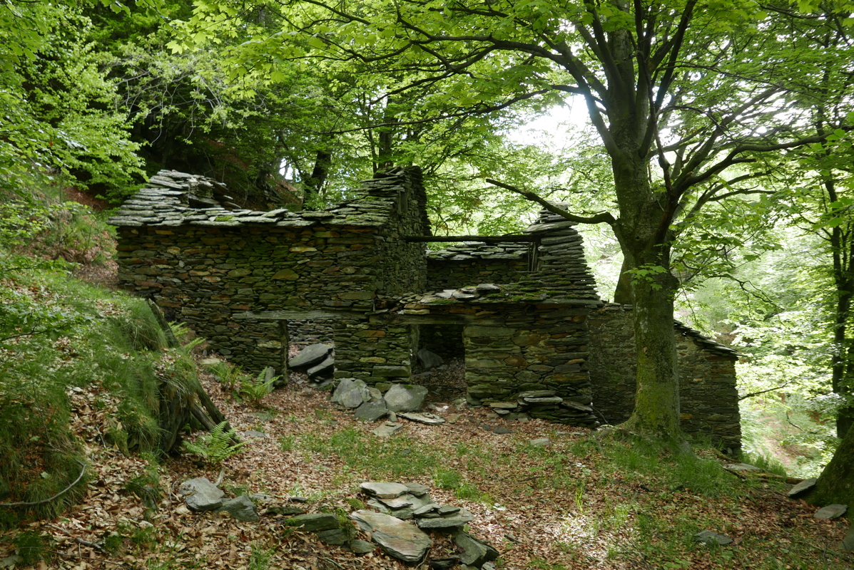 p1160757.jpg