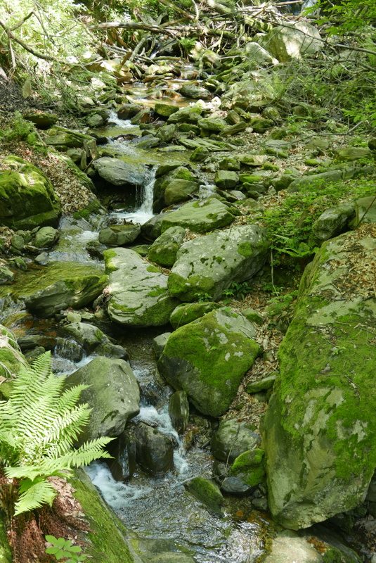 p1160842.jpg