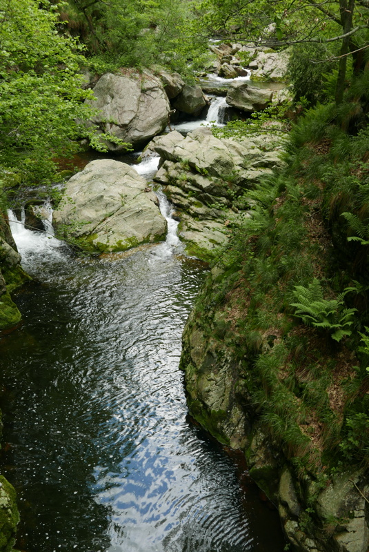 p1160848.jpg