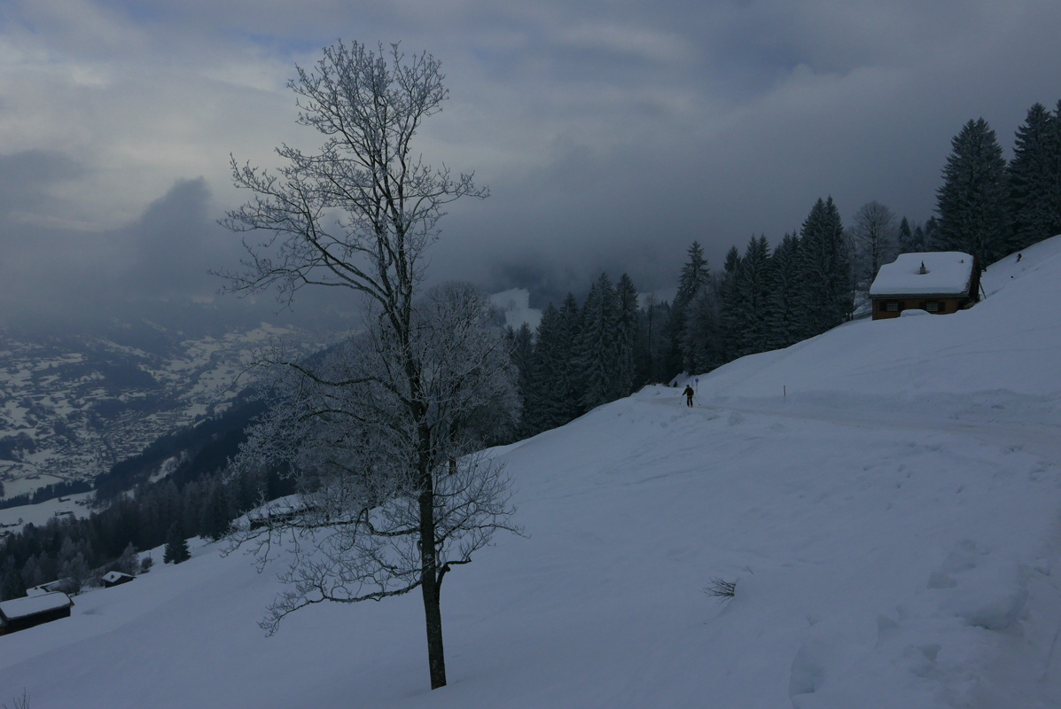 p1160275.jpg