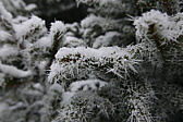 p1160257.jpg