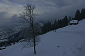 p1160275.jpg