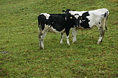 p1190500.jpg