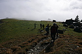 p1190510.jpg