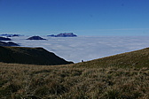 p1190526.jpg