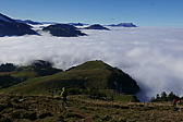 p1190532.jpg