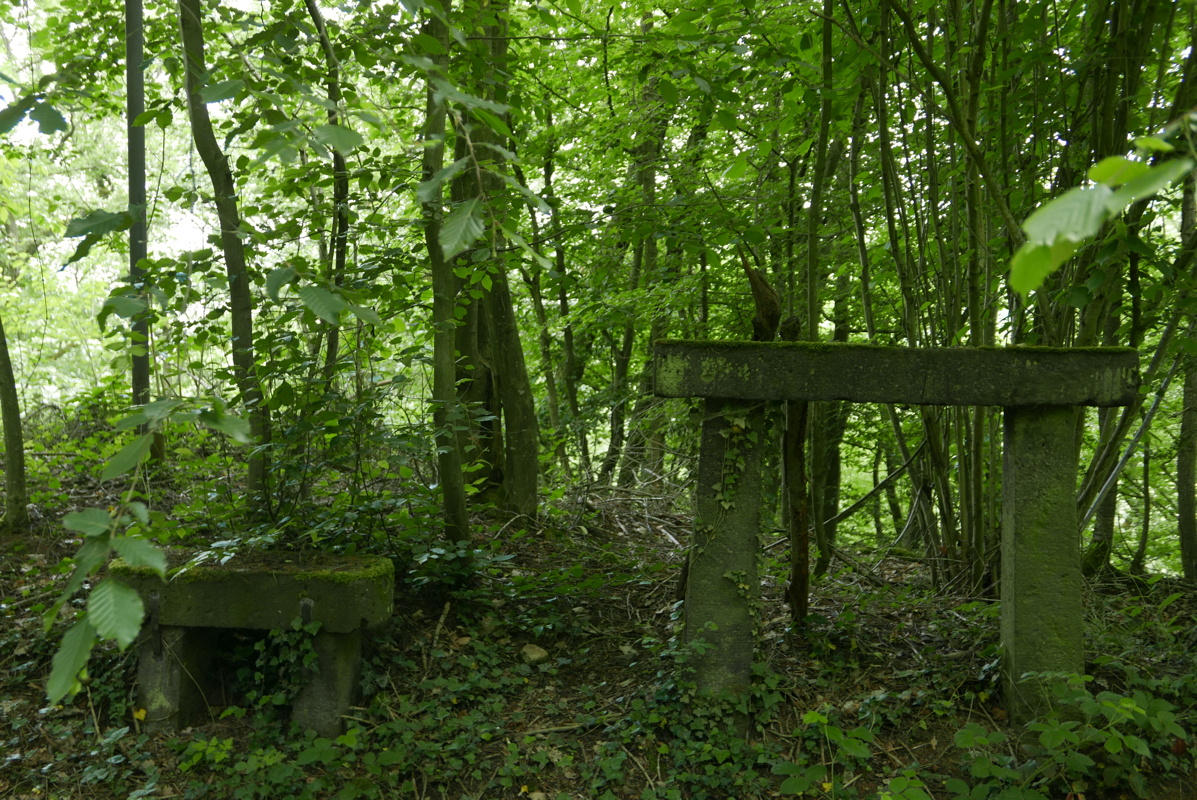 p1160862.jpg