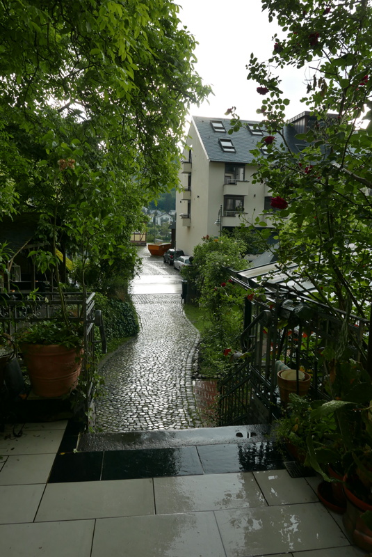 p1160994.jpg