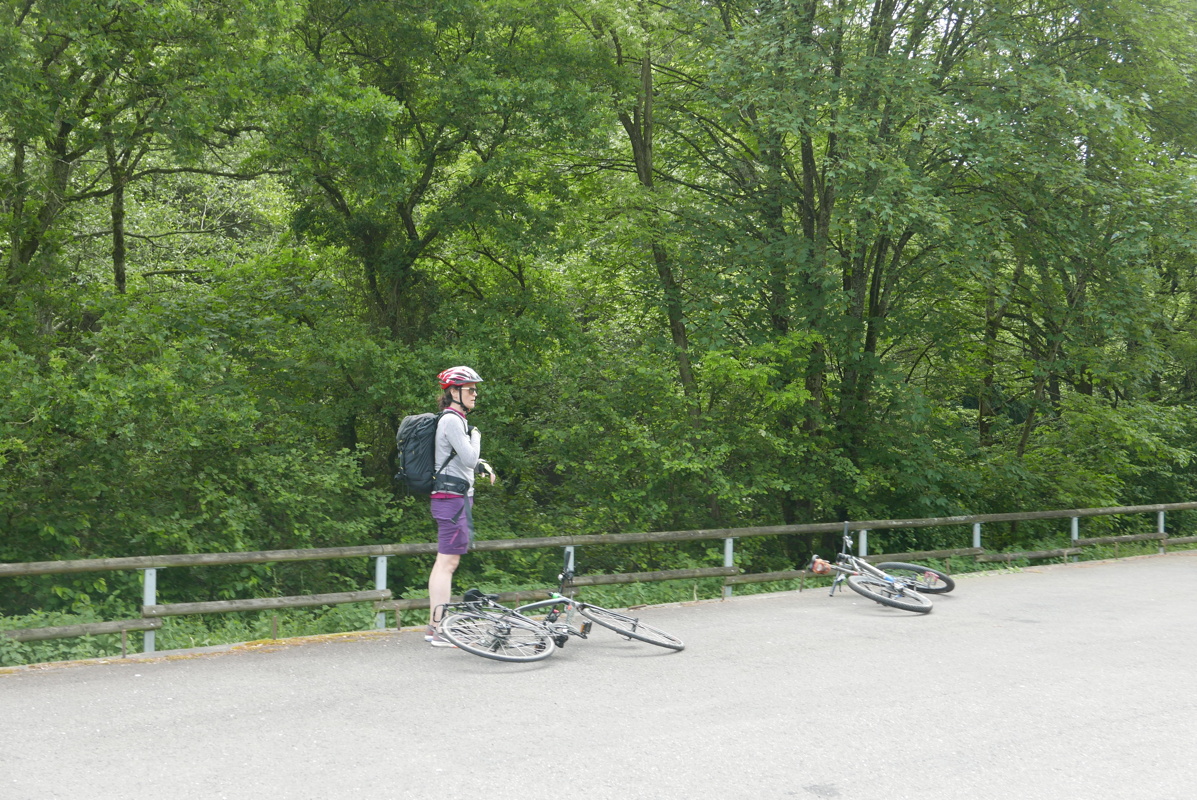 p1170031.jpg