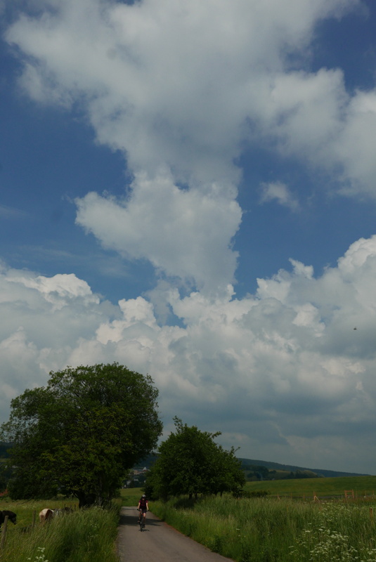 p1170034.jpg
