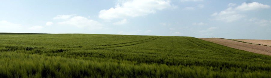 Streifen