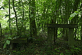 p1160862.jpg