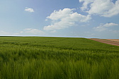 p1160866.jpg