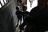 p1160873.jpg