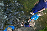 p1160940.jpg