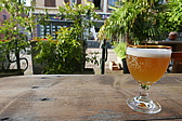 p1170078.jpg