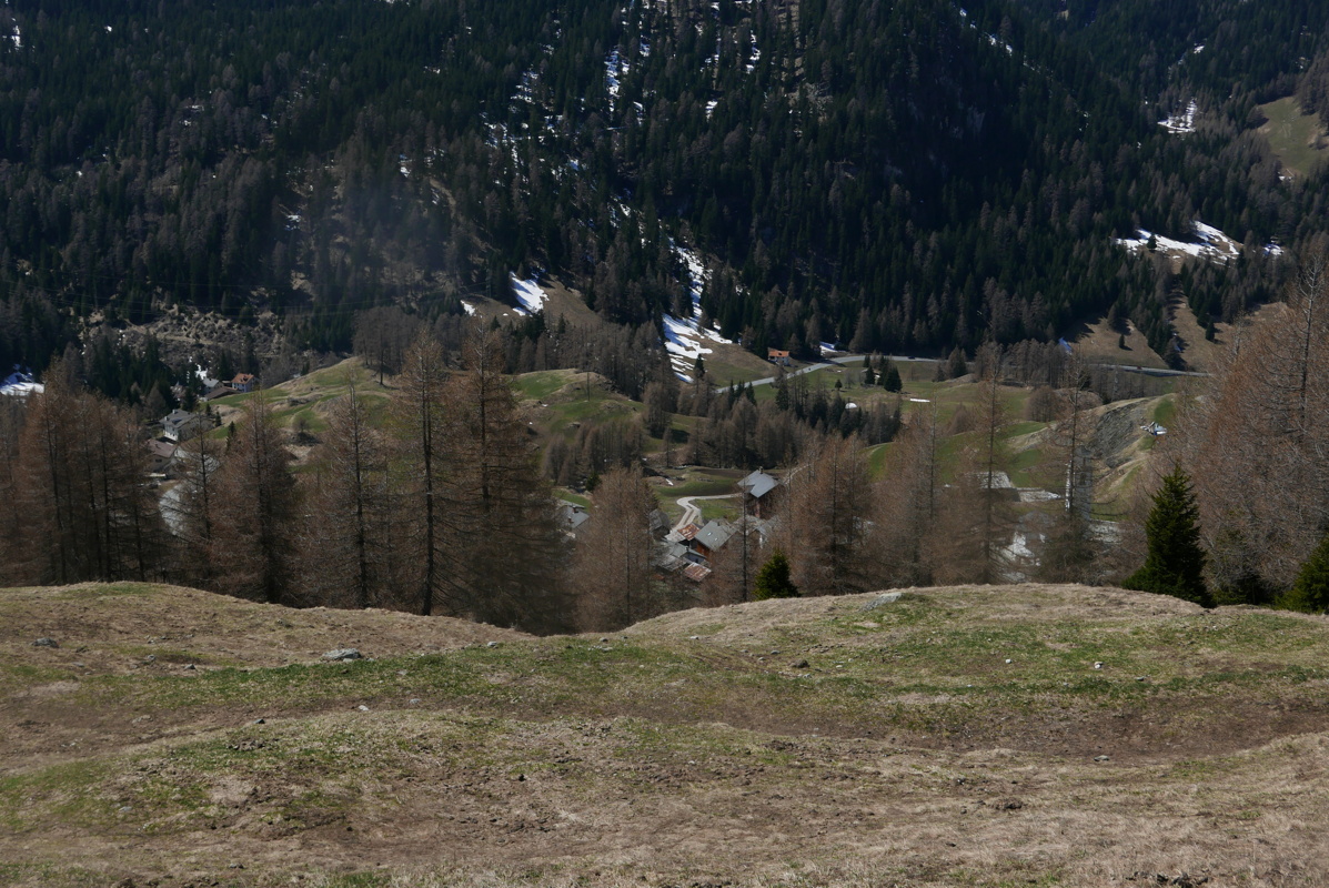 p1160698.jpg