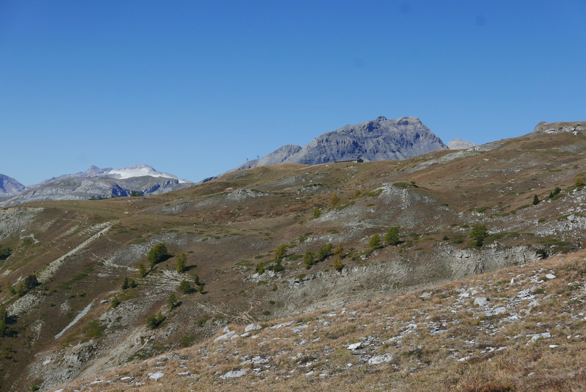 p1170835.jpg
