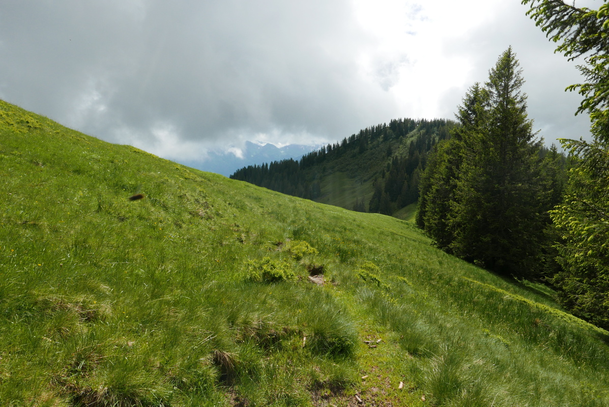 p1170141.jpg