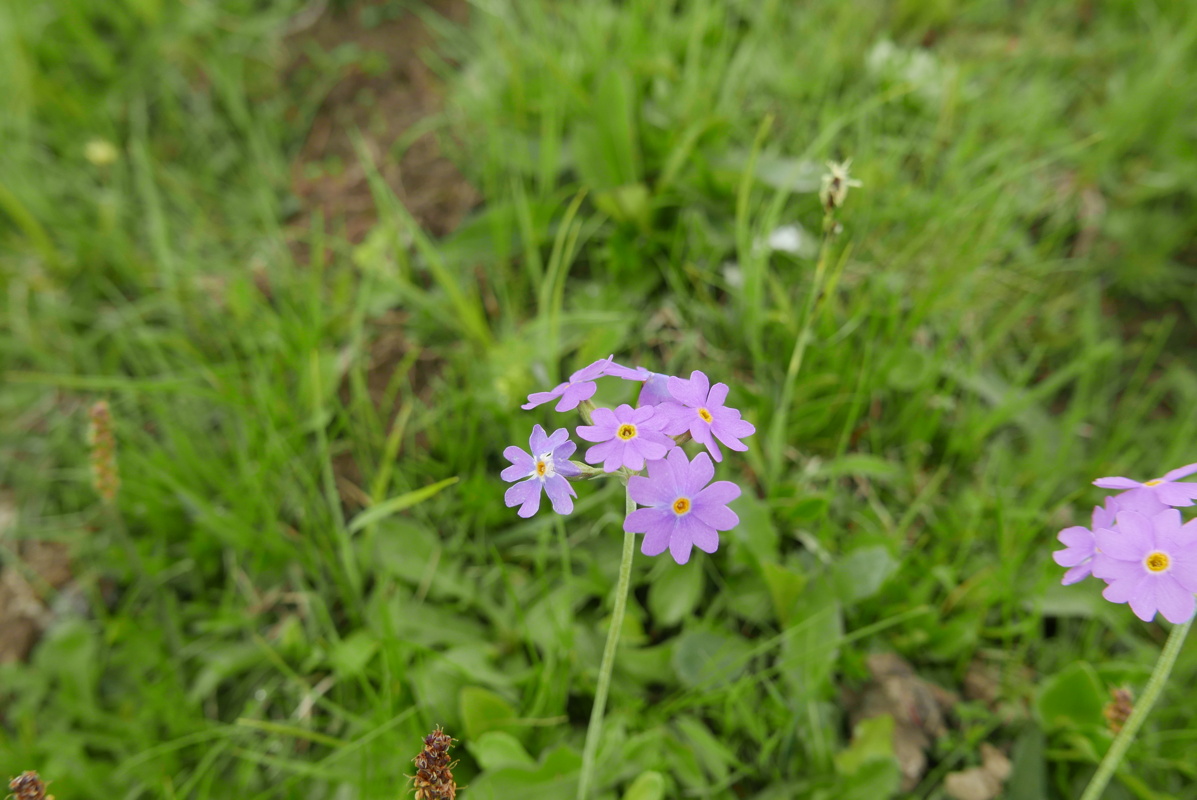 p1170144.jpg