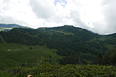 p1170132.jpg