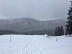 img_1108.jpg