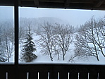 img_2290.jpg