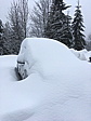 img_2295.jpg