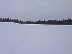 img_3666.jpg