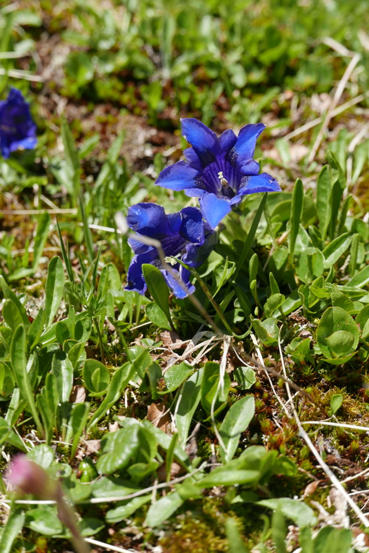 p1170220.jpg