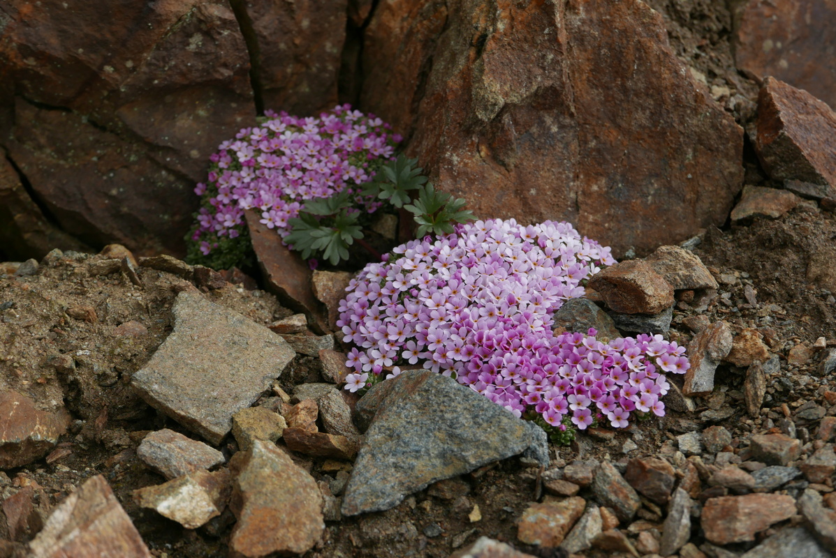p1170245.jpg
