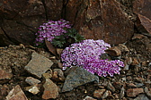 p1170245.jpg