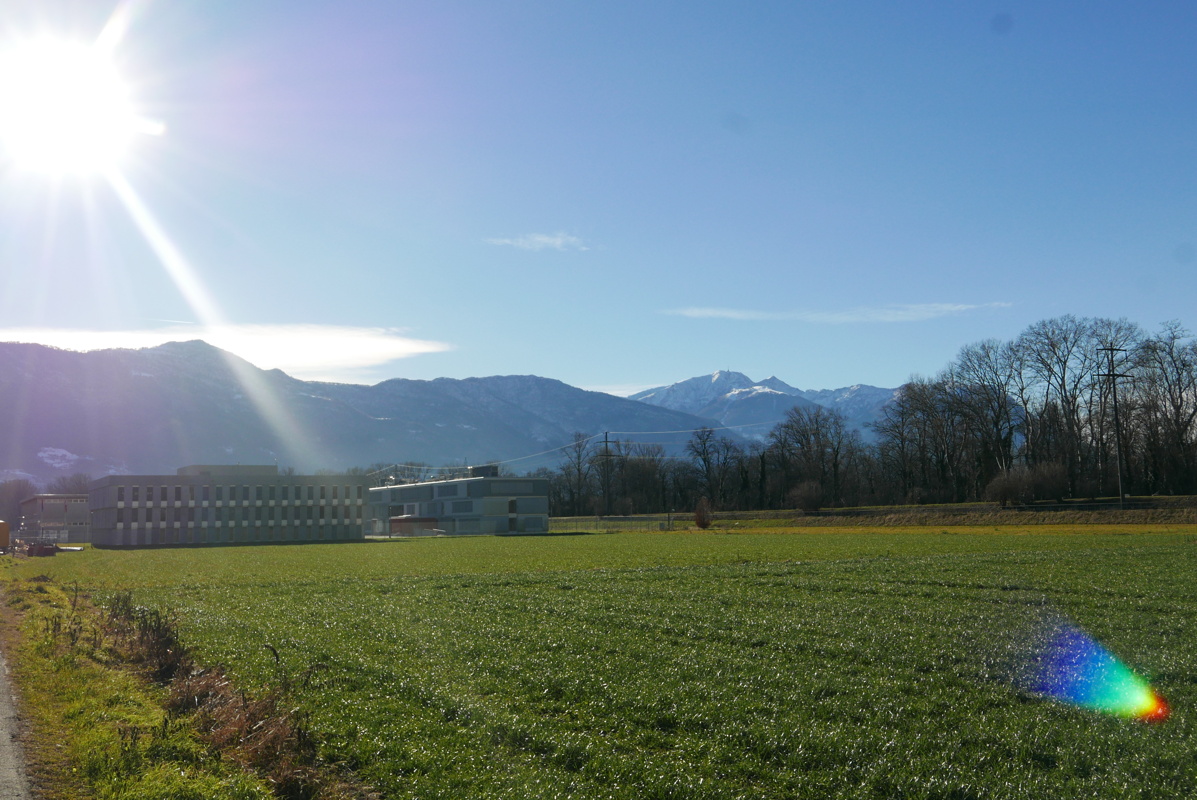 p1190594.jpg