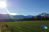 p1190594.jpg