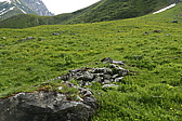 p1170115.jpg