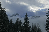 p1190650.jpg