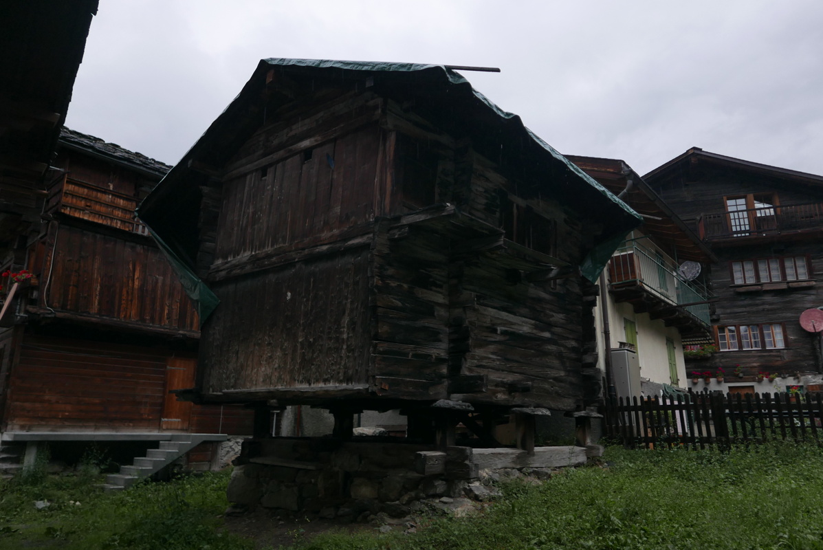 p1170416.jpg
