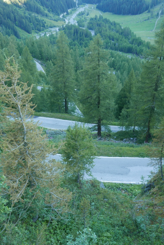 p1170443.jpg