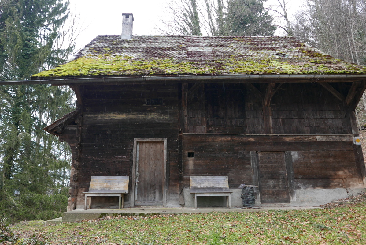 p1160332.jpg