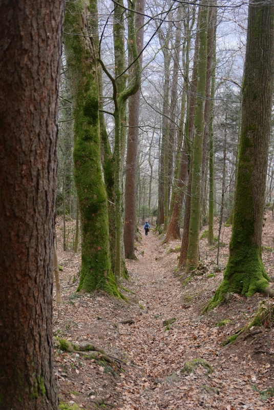 p1160333.jpg