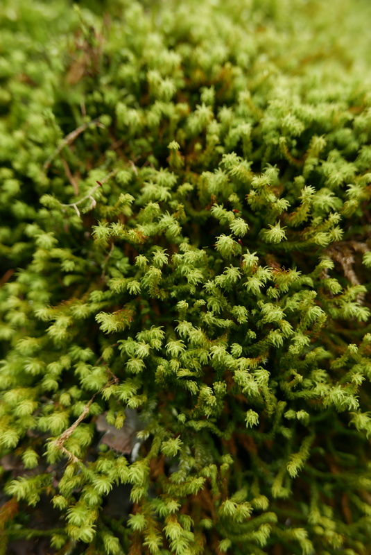 p1160336.jpg