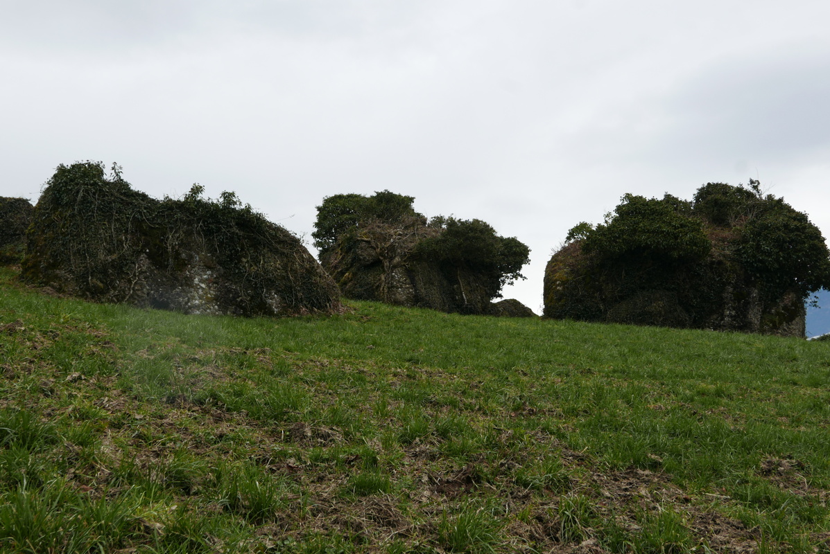 p1160340.jpg